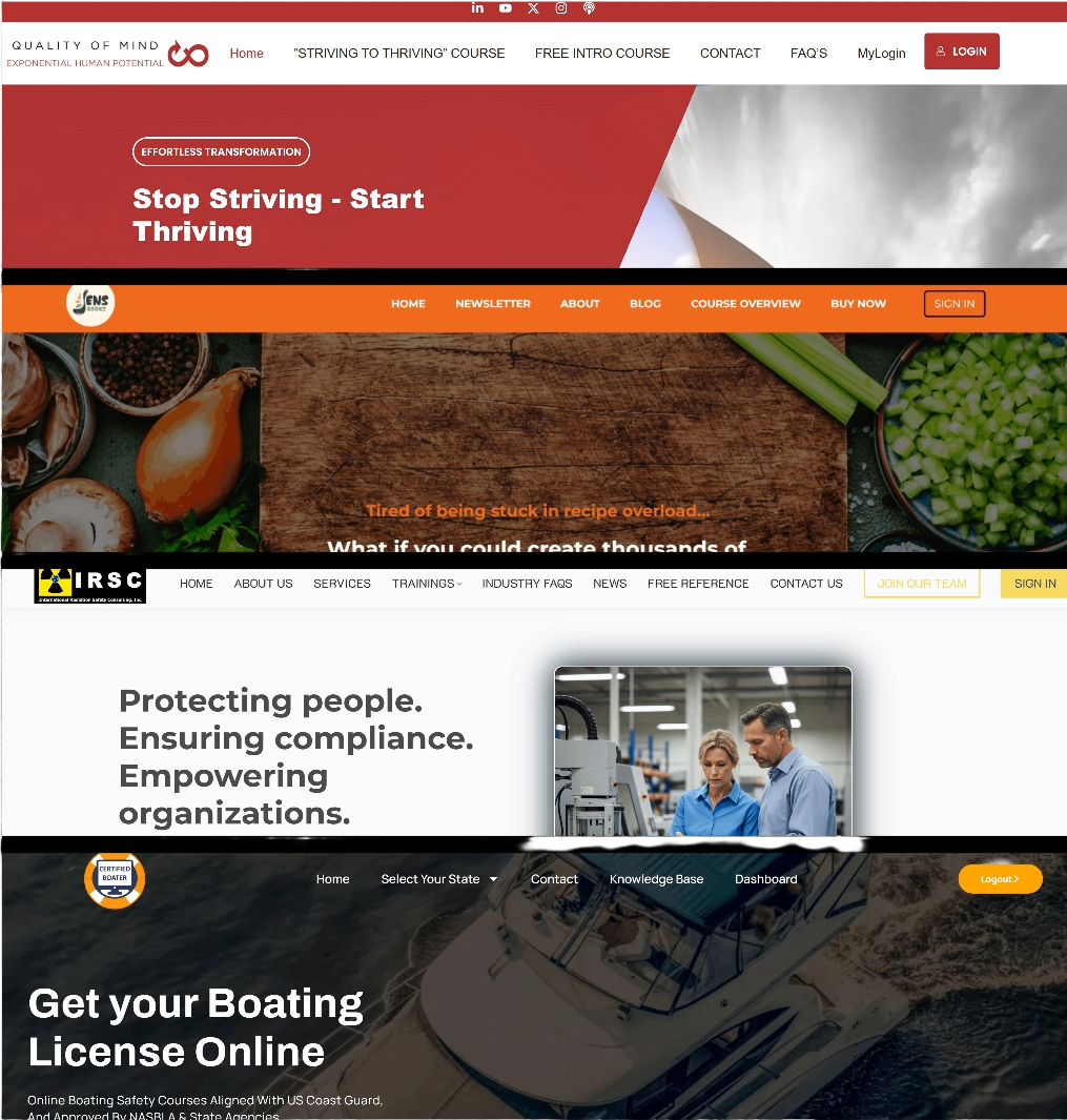 Portfolio projects — LMS platforms delivered