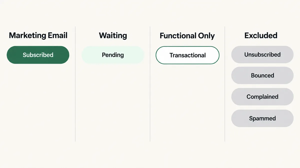 The seven FluentCRM contact statuses grouped by what each one receives: Subscribed gets marketing email, Pending is waiting, Transactional gets functional email only, and Unsubscribed, Bounced, Complained and Spammed are excluded